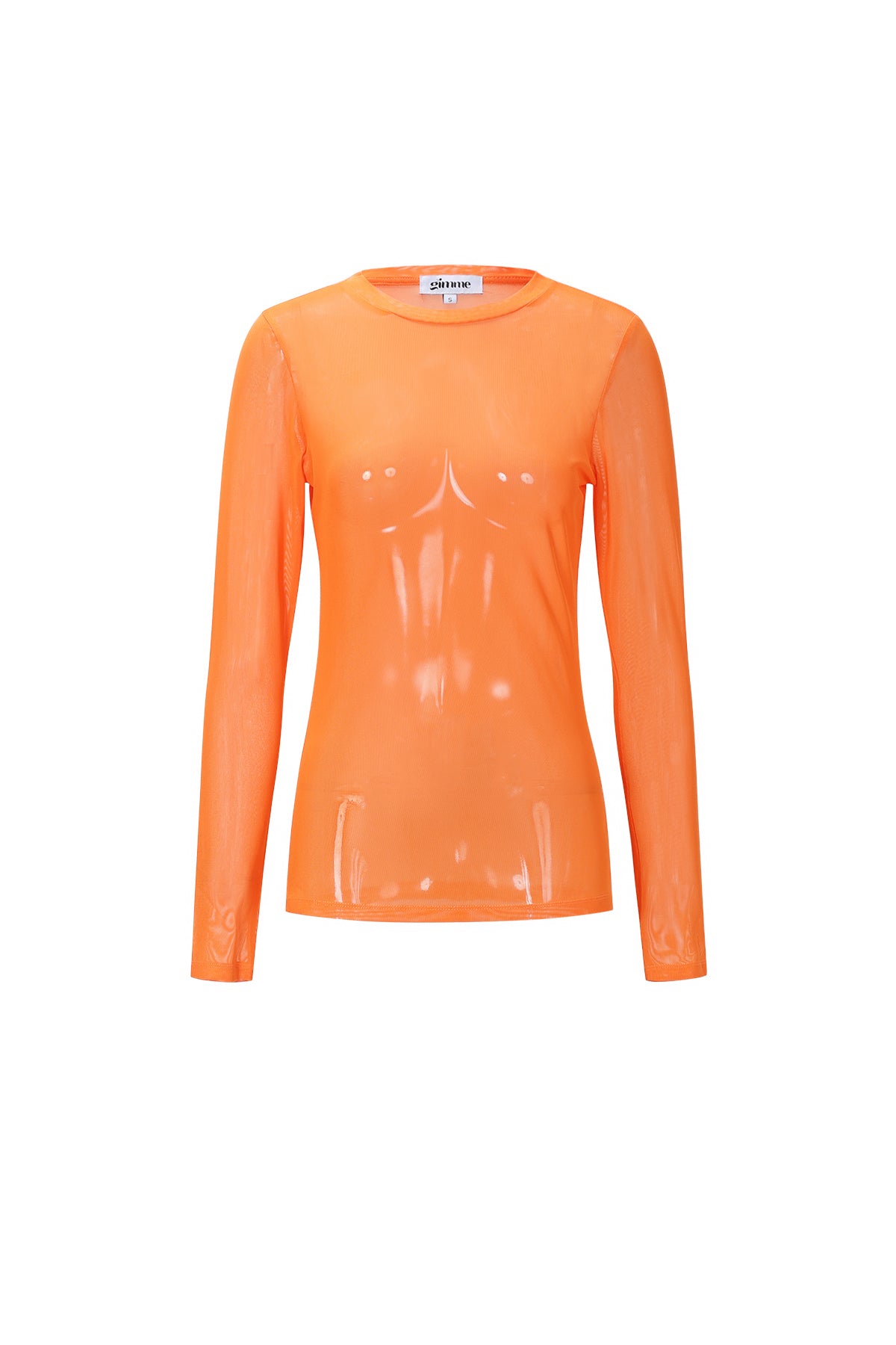 Mesh Longsleeve Top