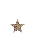 Star brooch - multi