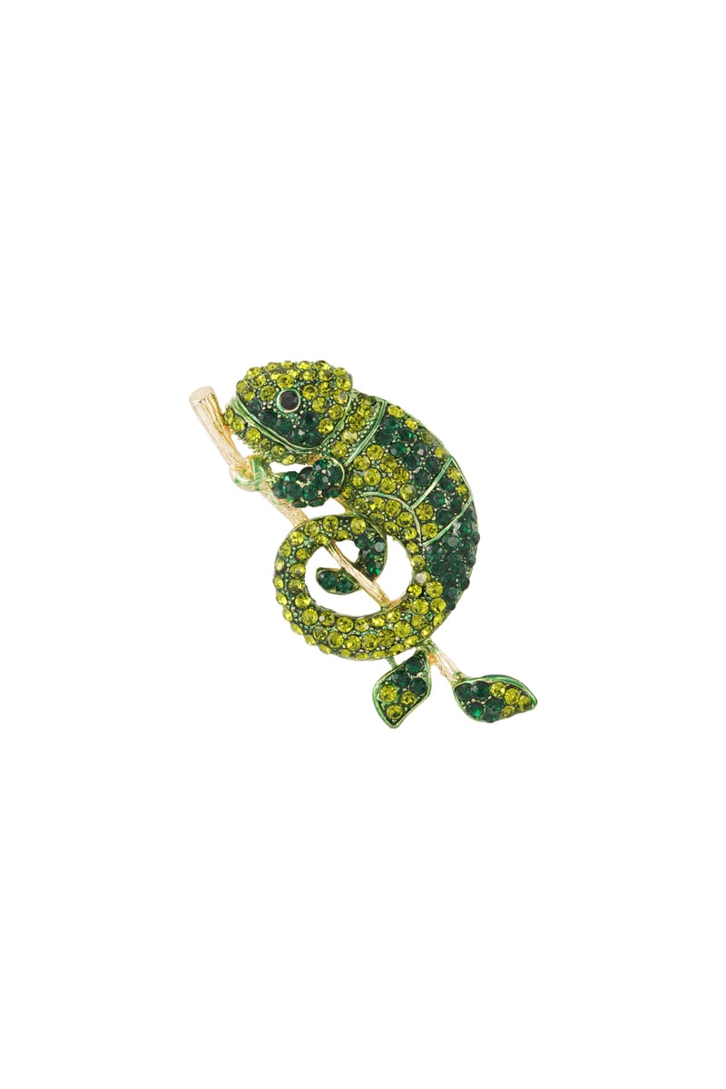 Salamander Brooch