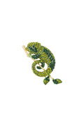 Salamander Brooch