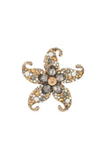 Starry Brooch