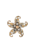 Starry Brooch