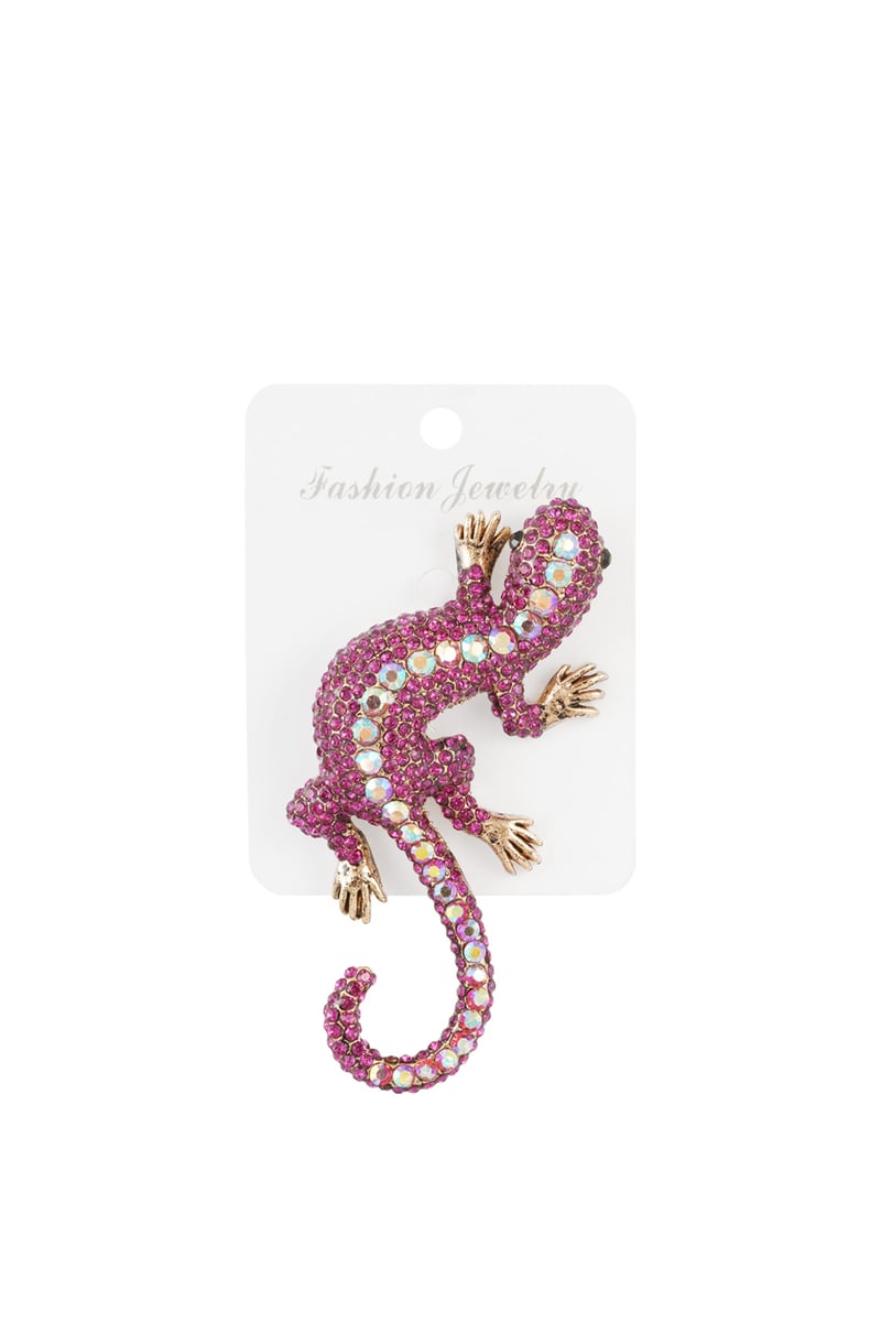 Salamander Brooch