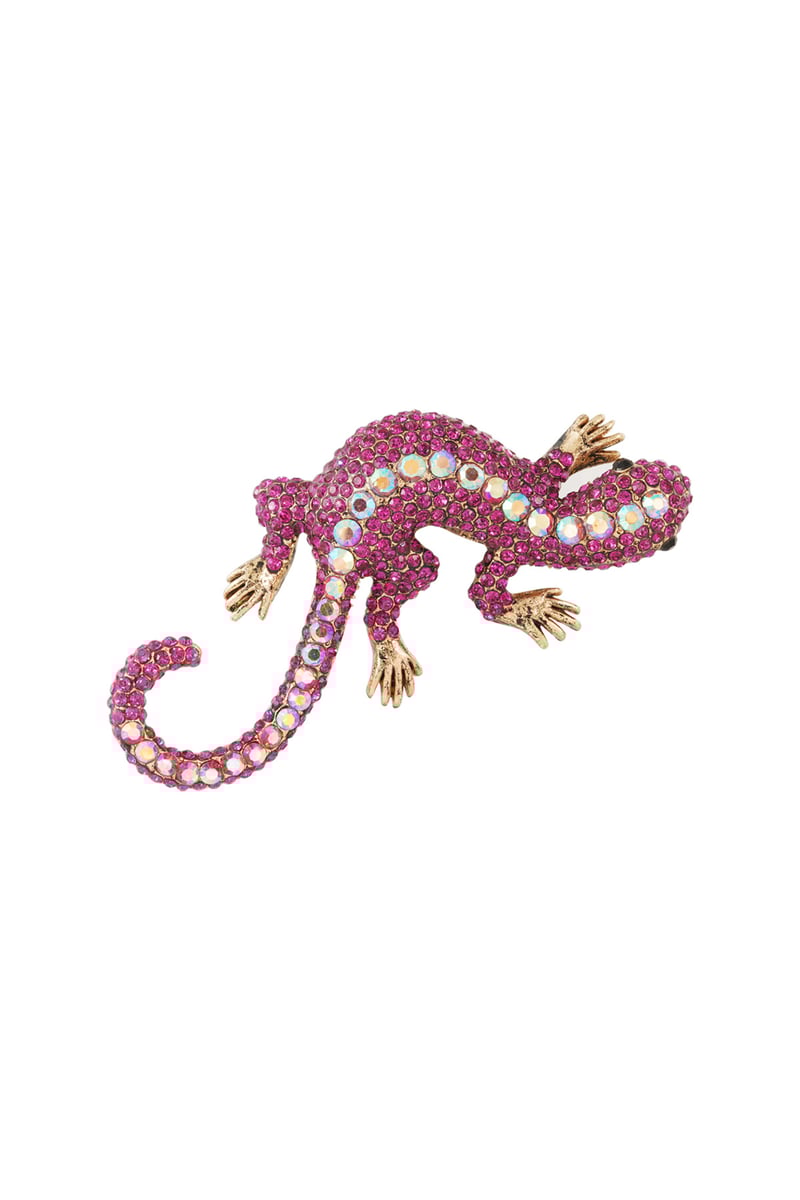 Salamander Brooch