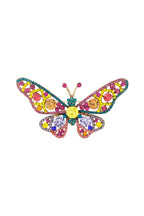 Butterfly Brooch - Multi
