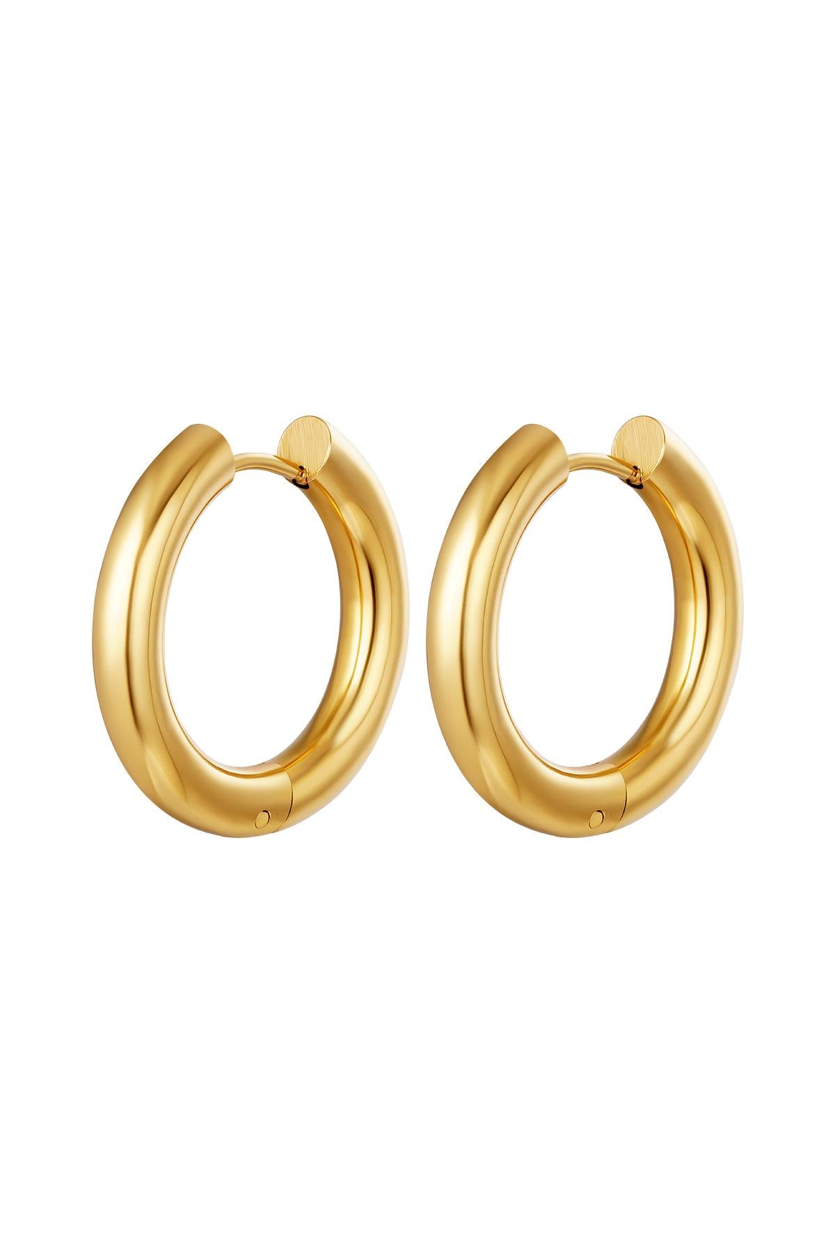 Basic hoop earrings - large Stainless Steel