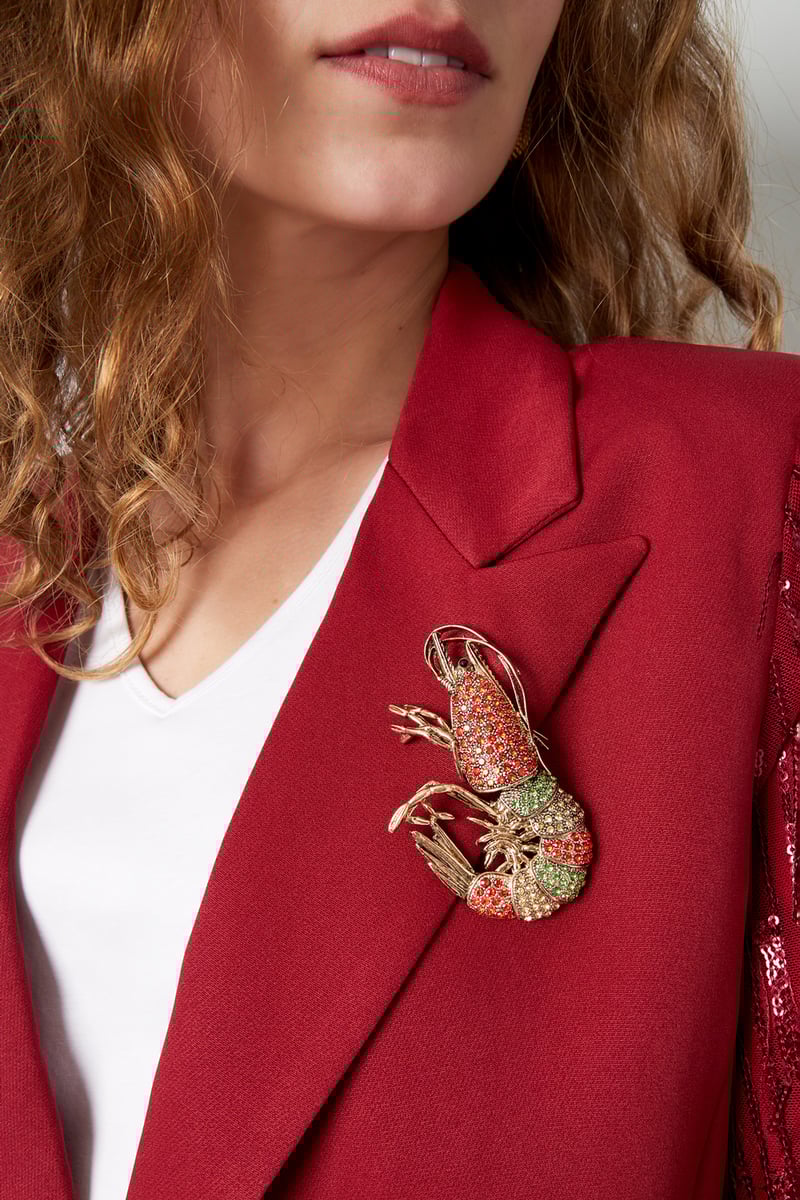 Shrimp Brooch - Multi