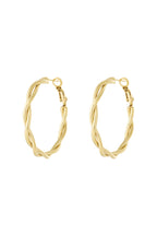 Stainless Steel Hoop Earrings Geometric Casual Daily Simple Series Women's jewelry