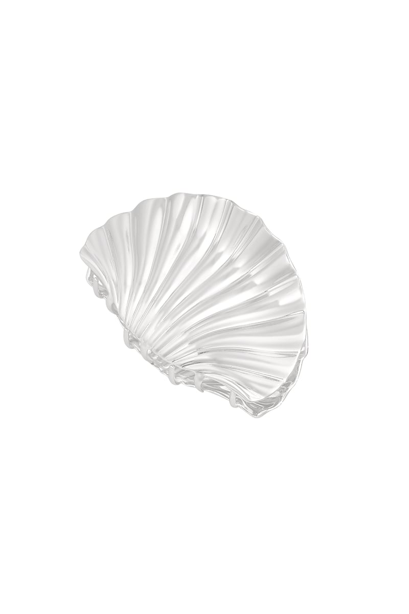 shell hair clip
