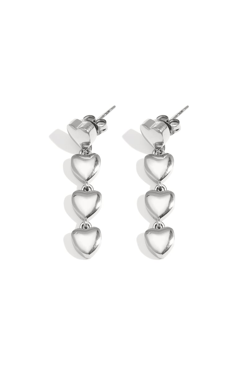 Stainless Steel Dangle Earrings Heart Casual Daily Simple Series Women's jewelry